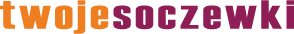 logo twojesoczewki.com