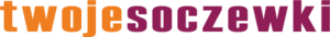 logo twojesoczewki.com